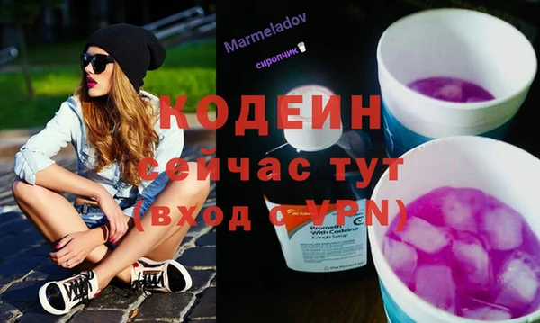apvp Богородицк
